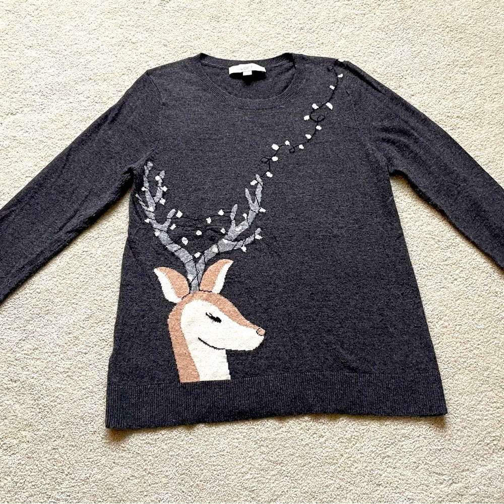NWT Loft size small sweater with front and back design.